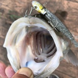 6ヒット4バラシ…