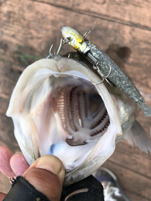 6ヒット4バラシ…