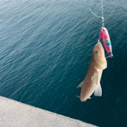 えそばっかり！の巻。