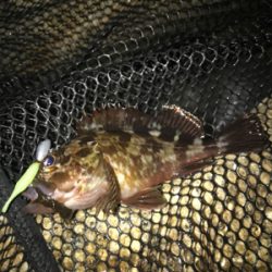 寒い中ガシリング(^。^)