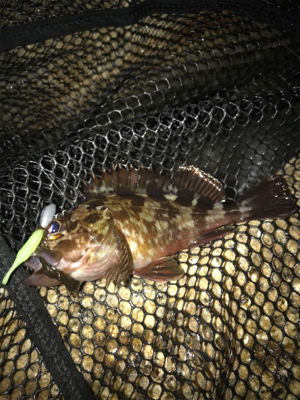 寒い中ガシリング(^。^)