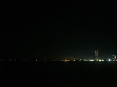 プリップリのプラッキングメバル