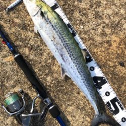 GWは仕事だったから…