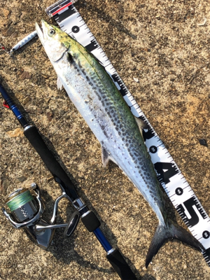 GWは仕事だったから…