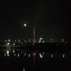 サクっとシーバス