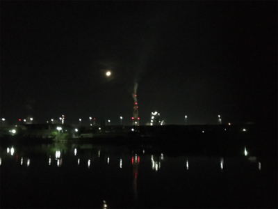 サクっとシーバス