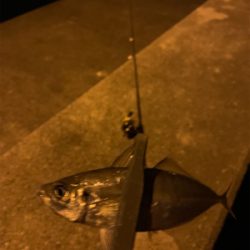 フロートアジング