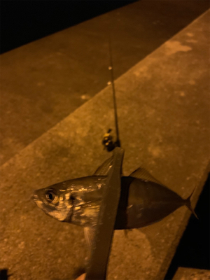 フロートアジング