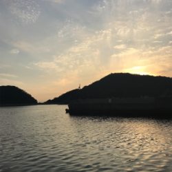 令和初イカ撃沈