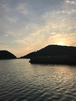 令和初イカ撃沈