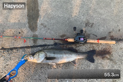 活性高し!シーバスマルチ♫