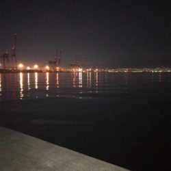 中々のサイズ！！