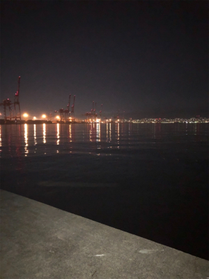 中々のサイズ！！