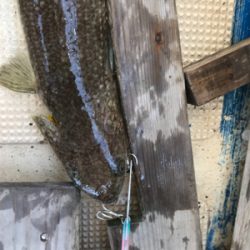 近場ショート便