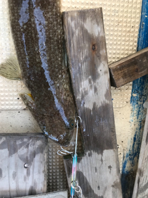 近場ショート便