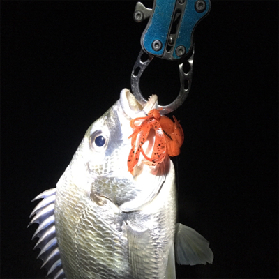 淀川ブリームゲーム ナイトゲーム