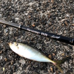 まわってきてます