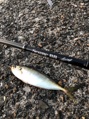 まわってきてます