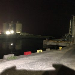 タケノコメバル