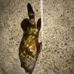 事前調査の後に