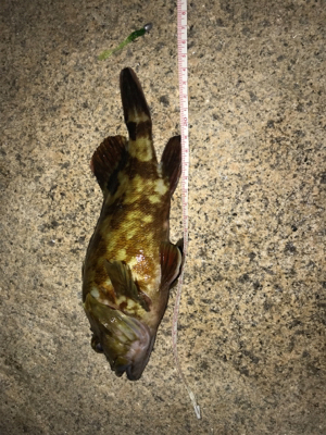 事前調査の後に