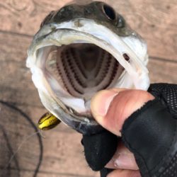 苦しんだ末の…