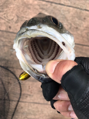 苦しんだ末の…