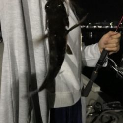 アジングは楽しいぞ！