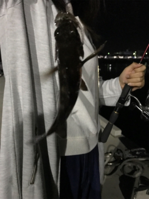 アジングは楽しいぞ！