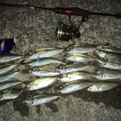 明日は仕事だけど…