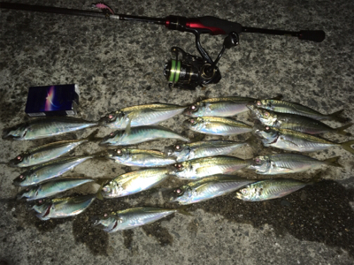 明日は仕事だけど…