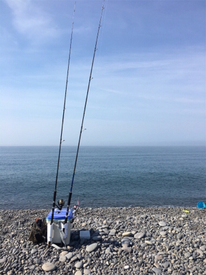 メジロを期待するも