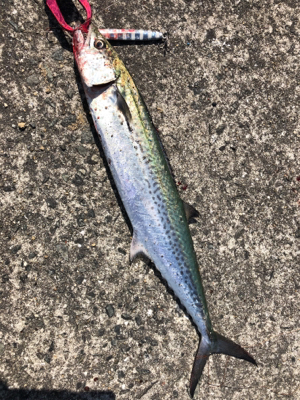 調子に乗って…釣り仲間と