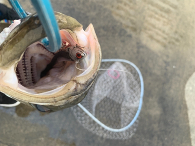 70アップ２日連チャン♫