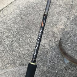 本日もエソなり。