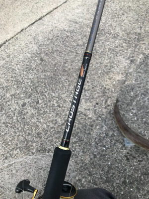 本日もエソなり。