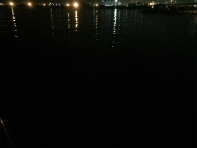 アジングで良型アジ！