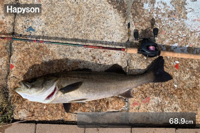 神戸港と帆船でっかシーバス