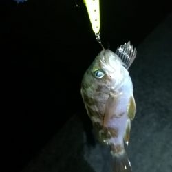 ナイトメバリング