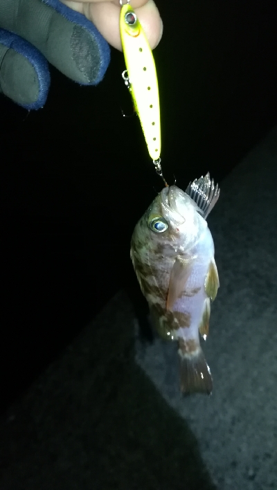 ナイトメバリング