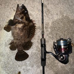 観光スポットにてパート2