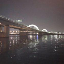 太田川放水路なんとか1匹