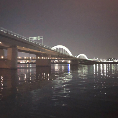 太田川放水路なんとか1匹