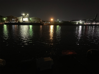 アオイソメで60up