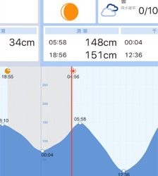 朝マズメ シーバス