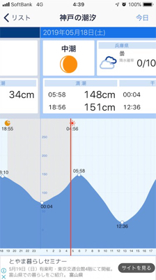 朝マズメ シーバス