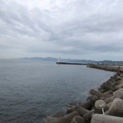 ワインドで春太刀調査