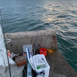 投げ釣りでキス