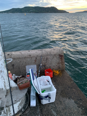 投げ釣りでキス