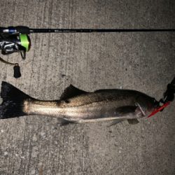 バチ抜けやっときたー！！！